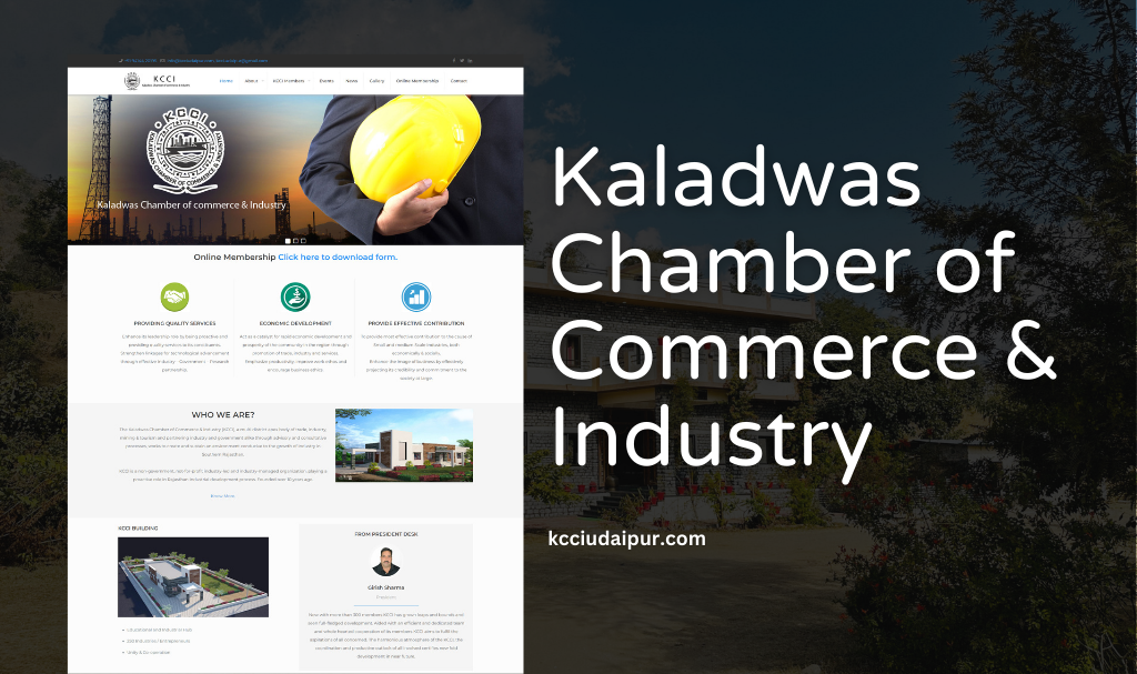Industrial Website Designer Udaipur