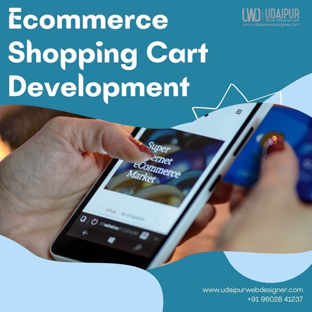 Ecommerce website development company in Udaipur