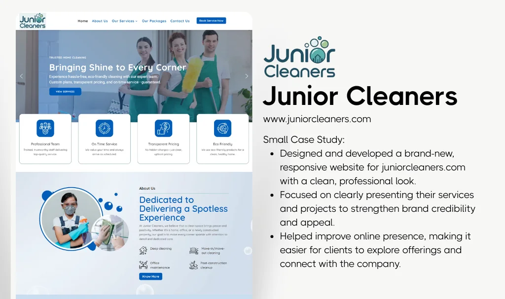 Cleaners Company Website Designer