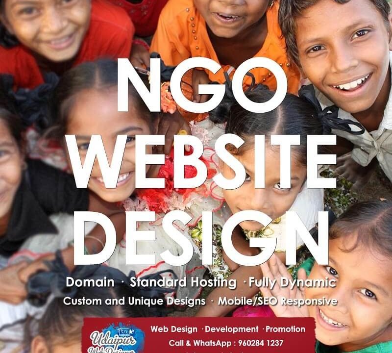 nonprofit ngo website design