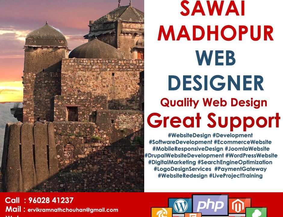 Web Design Company Sawai Madhopur